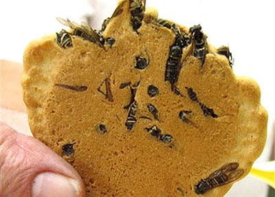 wasp cracker